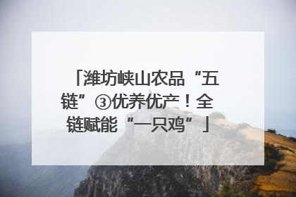 潍坊峡山农品“五链”③优养优产！全链赋能“一只鸡”