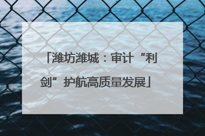 潍坊潍城：审计“利剑”护航高质量发展