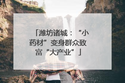 潍坊诸城：“小药材”变身群众致富“大产业”