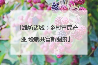 潍坊诸城：乡村富民产业 绘就共富新图景