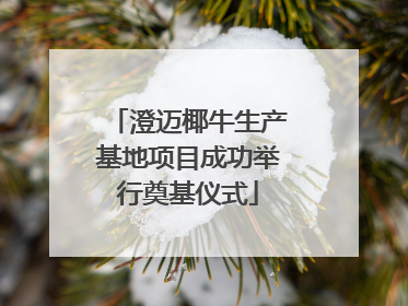 澄迈椰牛生产基地项目成功举行奠基仪式