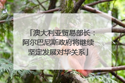 澳大利亚贸易部长：阿尔巴尼斯政府将继续坚定发展对华关系