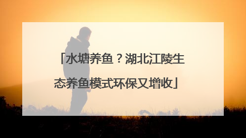 水塘养鱼？湖北江陵生态养鱼模式环保又增收
