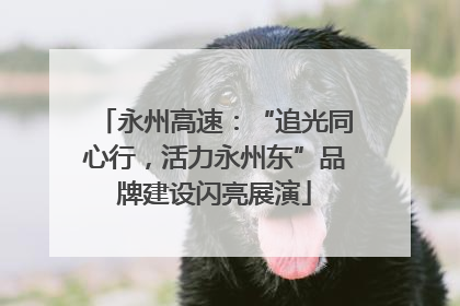 永州高速：“追光同心行，活力永州东”品牌建设闪亮展演