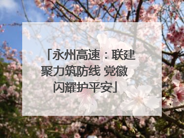 永州高速：联建聚力筑防线 党徽闪耀护平安