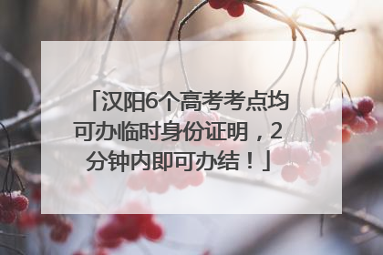 汉阳6个高考考点均可办临时身份证明，2分钟内即可办结！