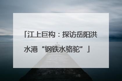 江上巨构：探访岳阳洪水港“钢铁水骆驼”