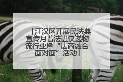 江汉区开展民法典宣传月普法进快递物流行业暨“法商融合面对面”活动