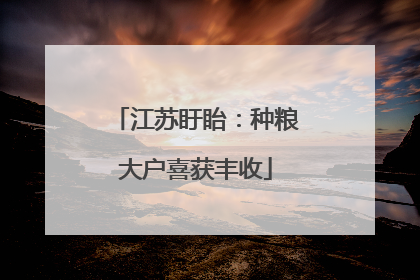 江苏盱眙：种粮大户喜获丰收