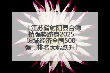 江苏省射阳县合德镇强势跻身2025镇域经济全国500强，排名大幅跃升