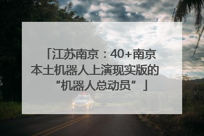 江苏南京：40+南京本土机器人上演现实版的“机器人总动员”