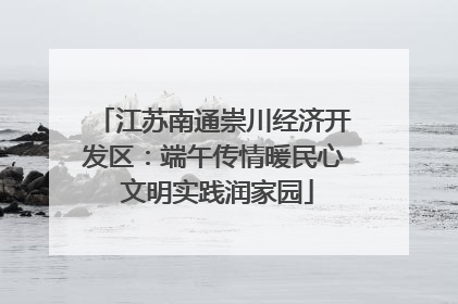江苏南通崇川经济开发区：端午传情暖民心 文明实践润家园