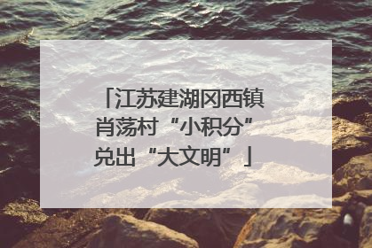 江苏建湖冈西镇肖荡村“小积分”兑出“大文明”