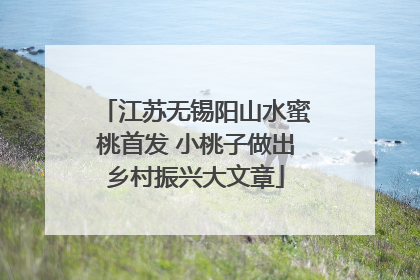 江苏无锡阳山水蜜桃首发 小桃子做出乡村振兴大文章