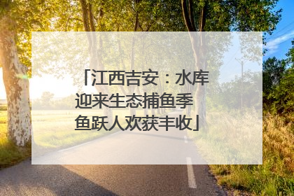 江西吉安：水库迎来生态捕鱼季 鱼跃人欢获丰收