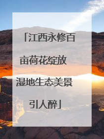江西永修百亩荷花绽放 湿地生态美景引人醉