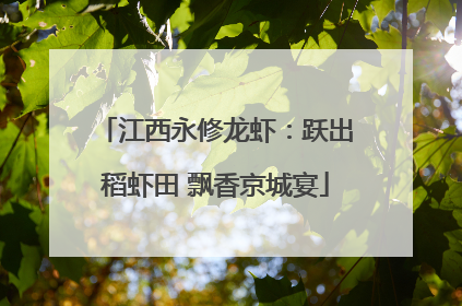 江西永修龙虾：跃出稻虾田 飘香京城宴