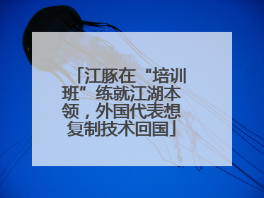 江豚在“培训班”练就江湖本领，外国代表想复制技术回国