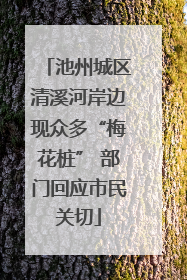 池州城区清溪河岸边现众多“梅花桩” 部门回应市民关切