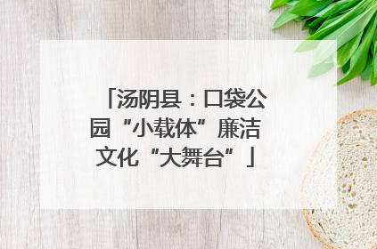 汤阴县：口袋公园“小载体”廉洁文化“大舞台”