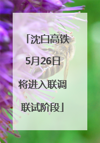 沈白高铁5月26日将进入联调联试阶段