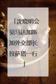 沈晓明会见马达加斯加外交部长拉萨塔一行