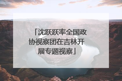 沈跃跃率全国政协视察团在吉林开展专题视察