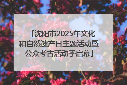 沈阳市2025年文化和自然遗产日主题活动暨公众考古活动季启幕