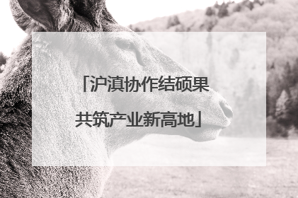 沪滇协作结硕果 共筑产业新高地