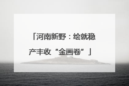 河南新野：绘就稳产丰收“金画卷”