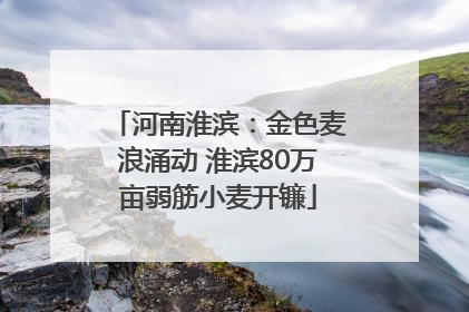 河南淮滨：金色麦浪涌动 淮滨80万亩弱筋小麦开镰