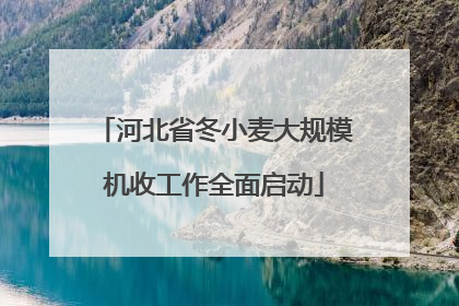 河北省冬小麦大规模机收工作全面启动