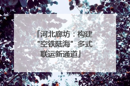 河北廊坊：构建“空铁陆海”多式联运新通道