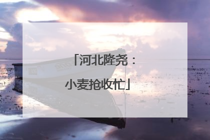 河北隆尧：小麦抢收忙