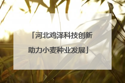 河北鸡泽科技创新助力小麦种业发展