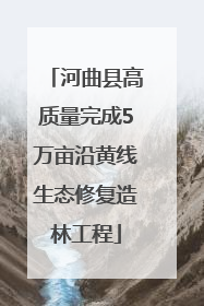 河曲县高质量完成5万亩沿黄线生态修复造林工程