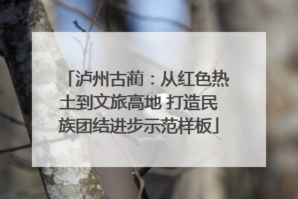 泸州古蔺：从红色热土到文旅高地 打造民族团结进步示范样板