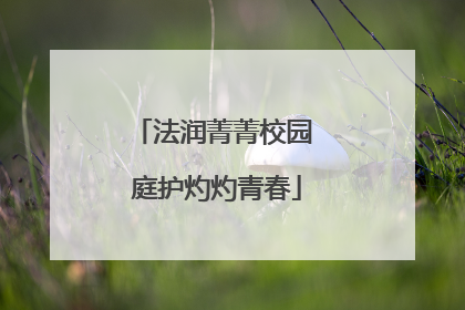 法润菁菁校园 庭护灼灼青春