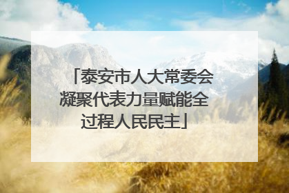 泰安市人大常委会凝聚代表力量赋能全过程人民民主