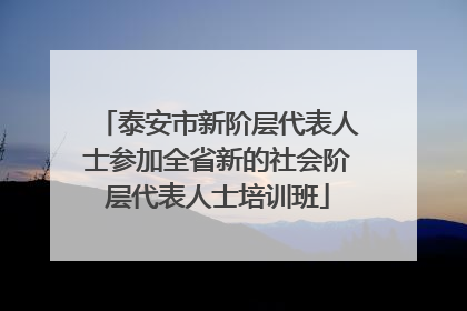 泰安市新阶层代表人士参加全省新的社会阶层代表人士培训班