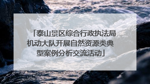 泰山景区综合行政执法局机动大队开展自然资源类典型案例分析交流活动