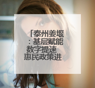 泰州姜堰：基层赋能数字提速 惠民政策进万家