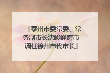 泰州市委常委、常务副市长沈峻峰跨市调任徐州市代市长