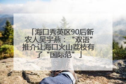 海口秀英区90后新农人吴宇燕：“双语”推介让海口火山荔枝有了“国际范”