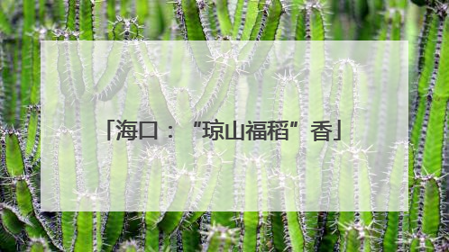 海口：“琼山福稻”香