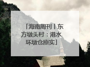 海南周刊丨东方墩头村：港水环墩仓廪实