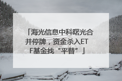 海光信息中科曙光合并停牌，资金杀入ETF基金找“平替”