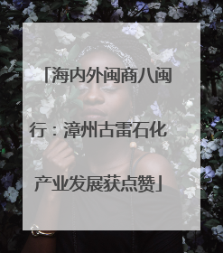 海内外闽商八闽行：漳州古雷石化产业发展获点赞