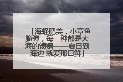 海蛏肥美，小章鱼脆弹，每一种都是大海的馈赠——夏日到海边 就爱那口鲜