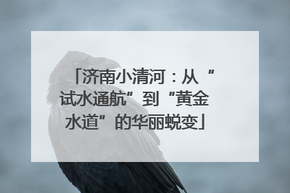 济南小清河：从“试水通航”到“黄金水道”的华丽蜕变